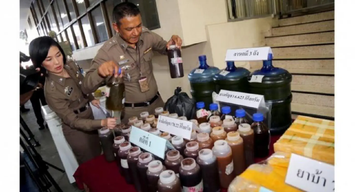 Cannabis tincture factory in Samut Prakan raided, four arrested Cannabis tincture factory in Samut Prakan raided, four arrested