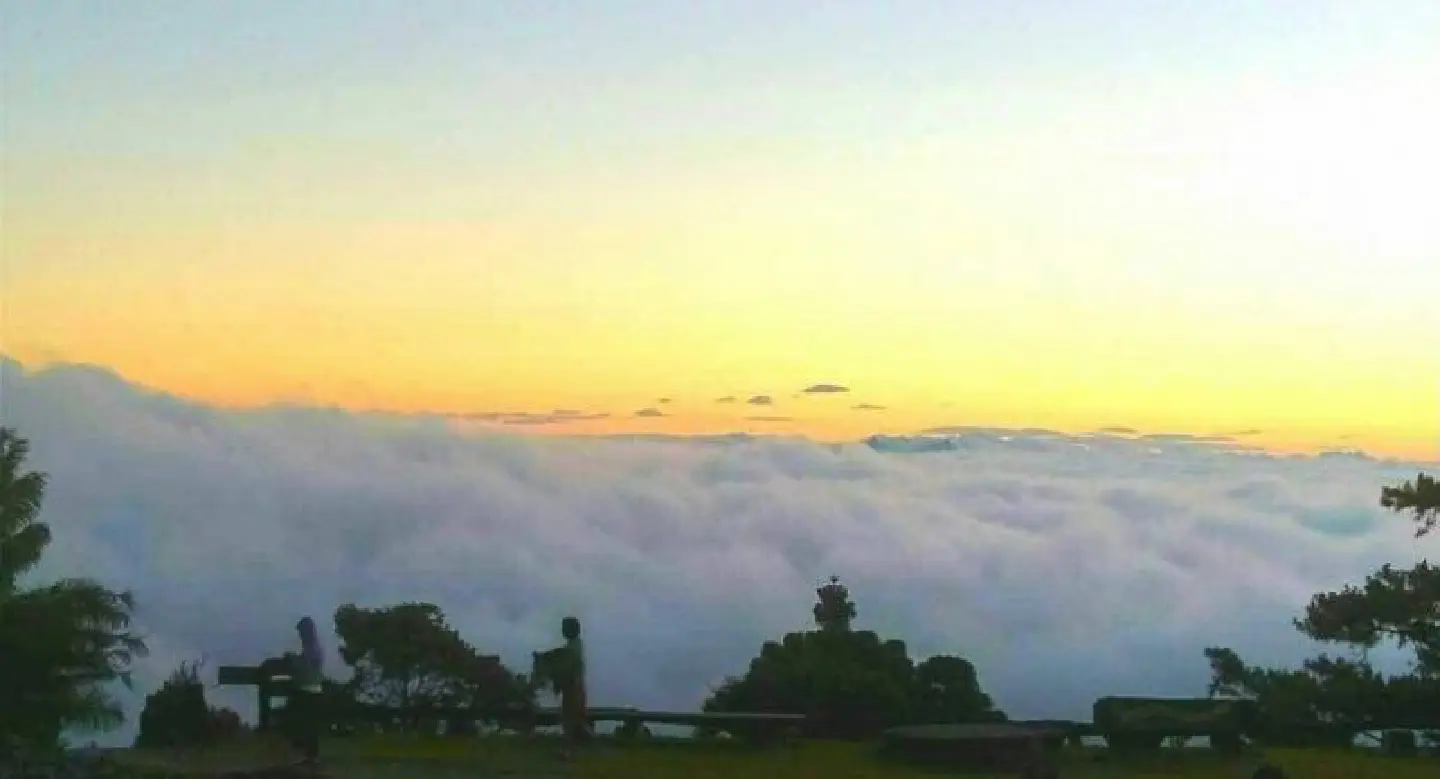 Spectacular mist enthrals visitors as mercury  drops at Huai Nam Dang National Park