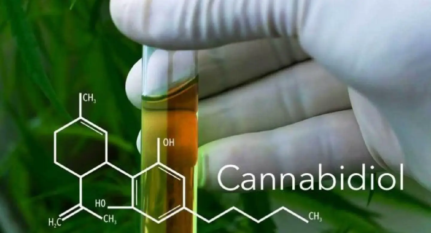 Hemp proposed as alternative to medical marijuana Hemp proposed as alternative to medical marijuana