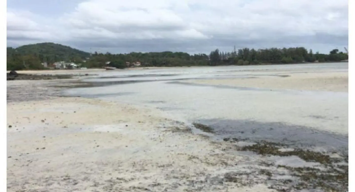 Phuket beach nearly back to normal after oil-spill clean-up