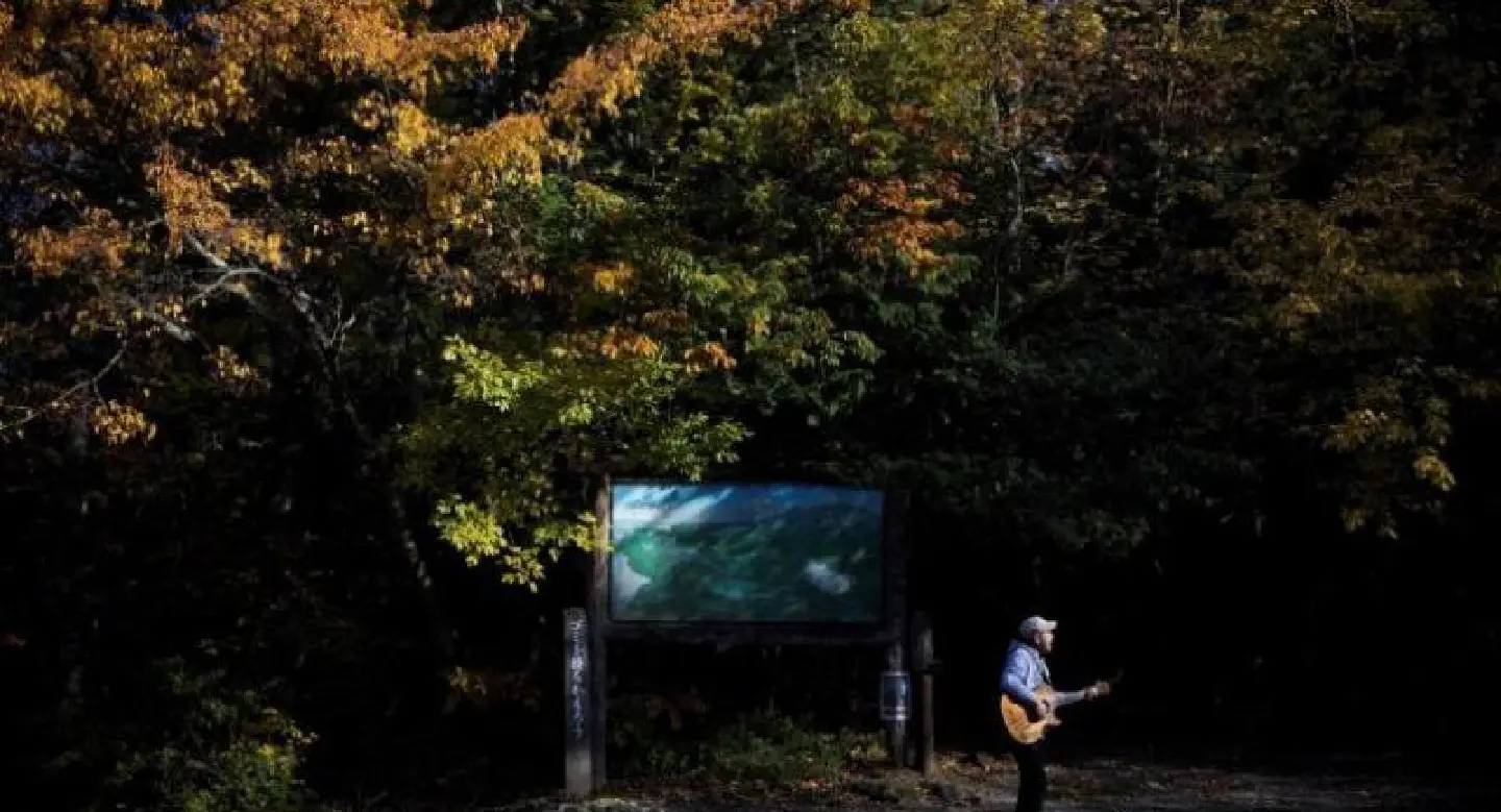 Gatekeeper at Japan's 'Suicide Forest' hopes music can save lives Gatekeeper at Japan's 'Suicide Forest' hopes music can save lives