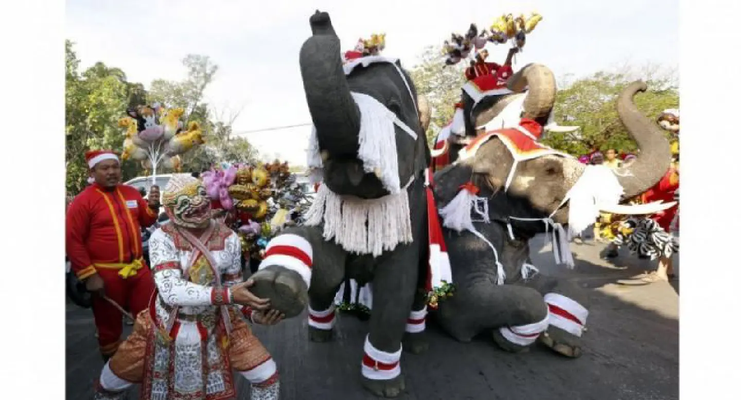 Elephants dressed as Santa Claus help celebrate Christmas in Thailand