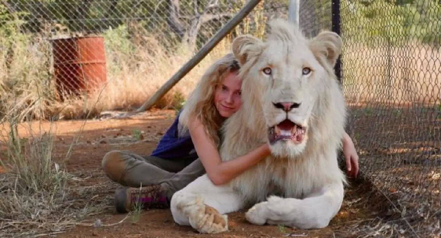 Thor and a tender tale