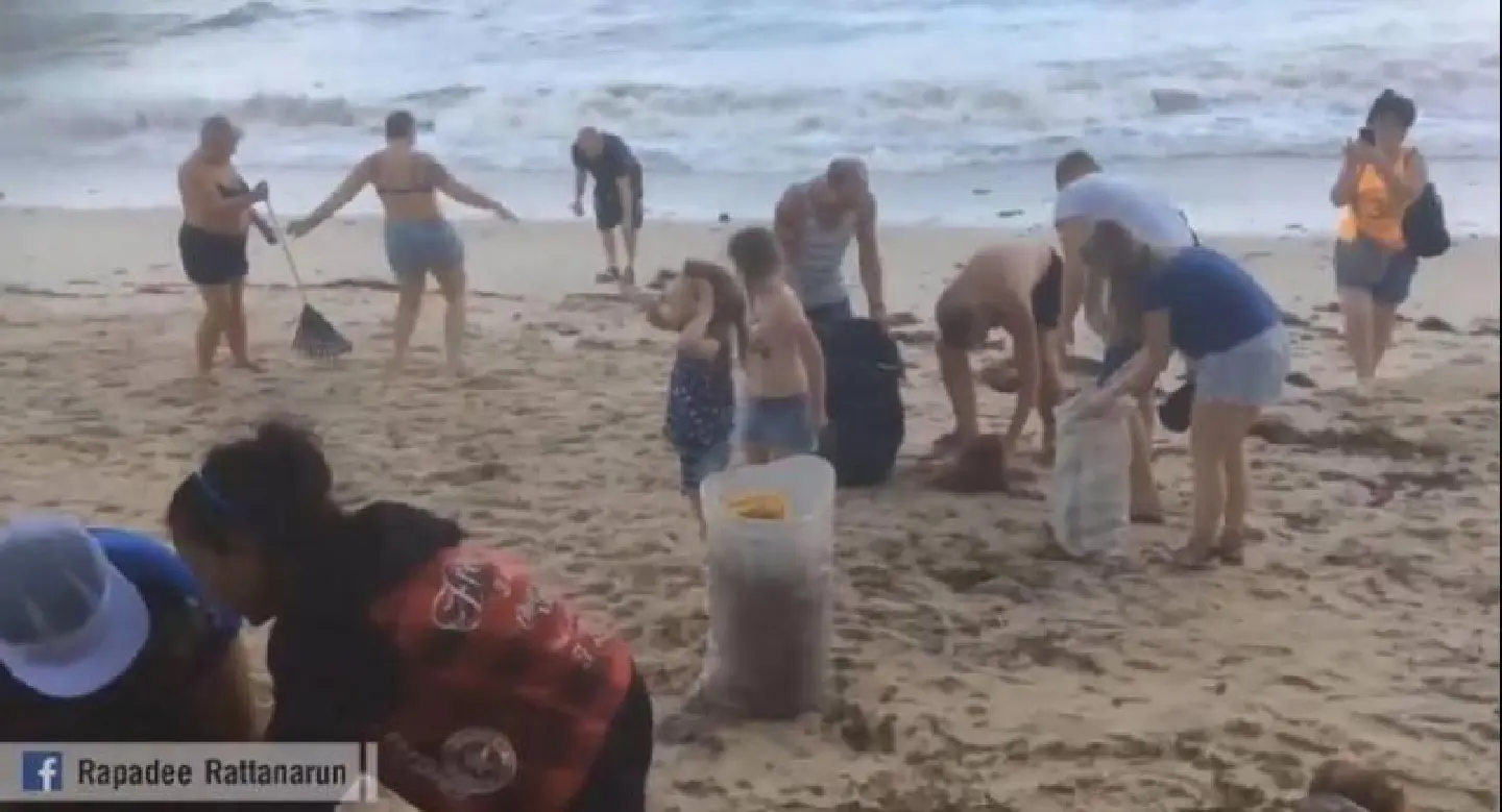 Foreign tourists help clear trash from Samui beaches Foreign tourists help clear trash from Samui beaches