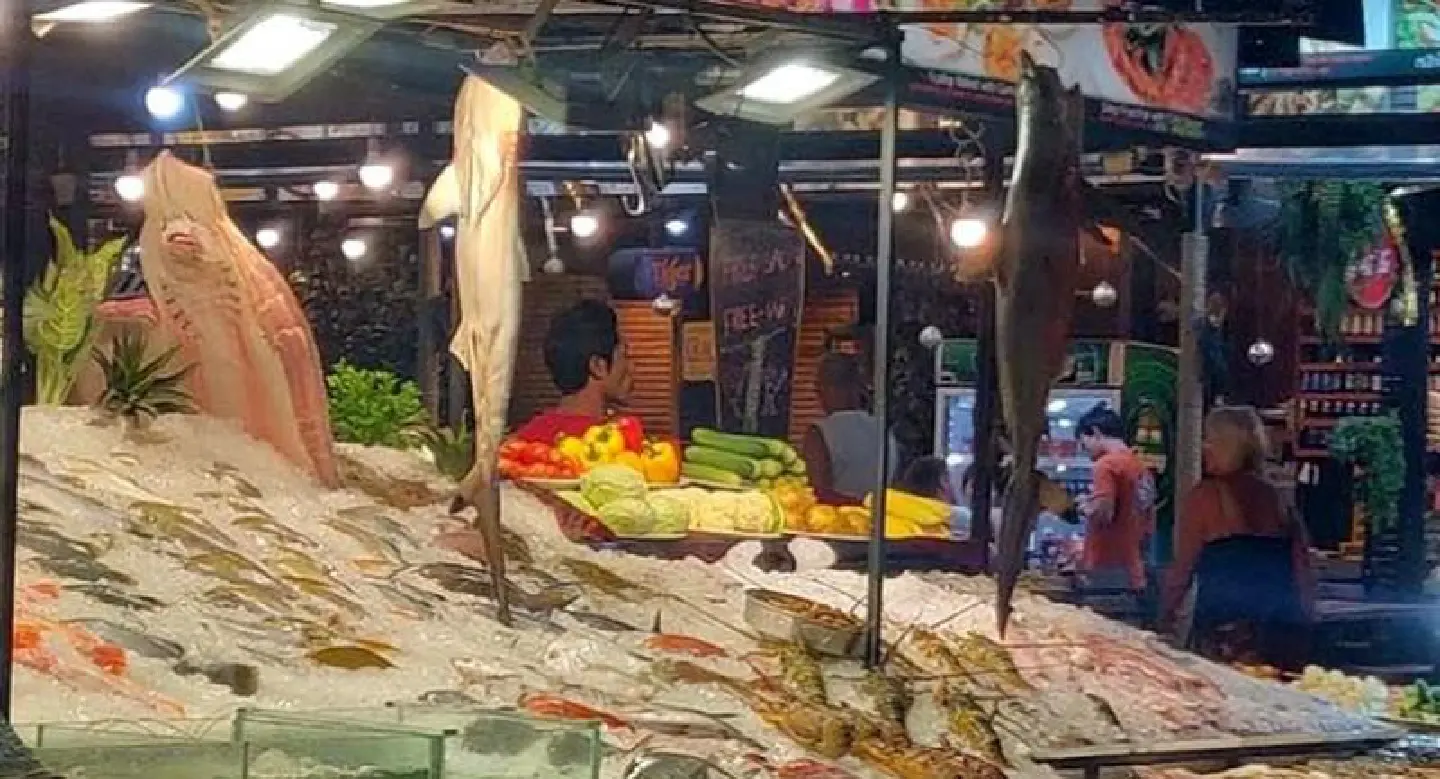 Blacktip reef sharks found outside Phuket seafood restaurant Blacktip reef sharks found outside Phuket seafood restaurant