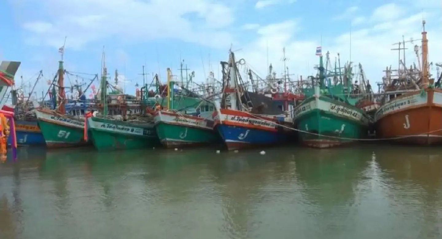 EU's lifting of yellow card from Thailand welcomed