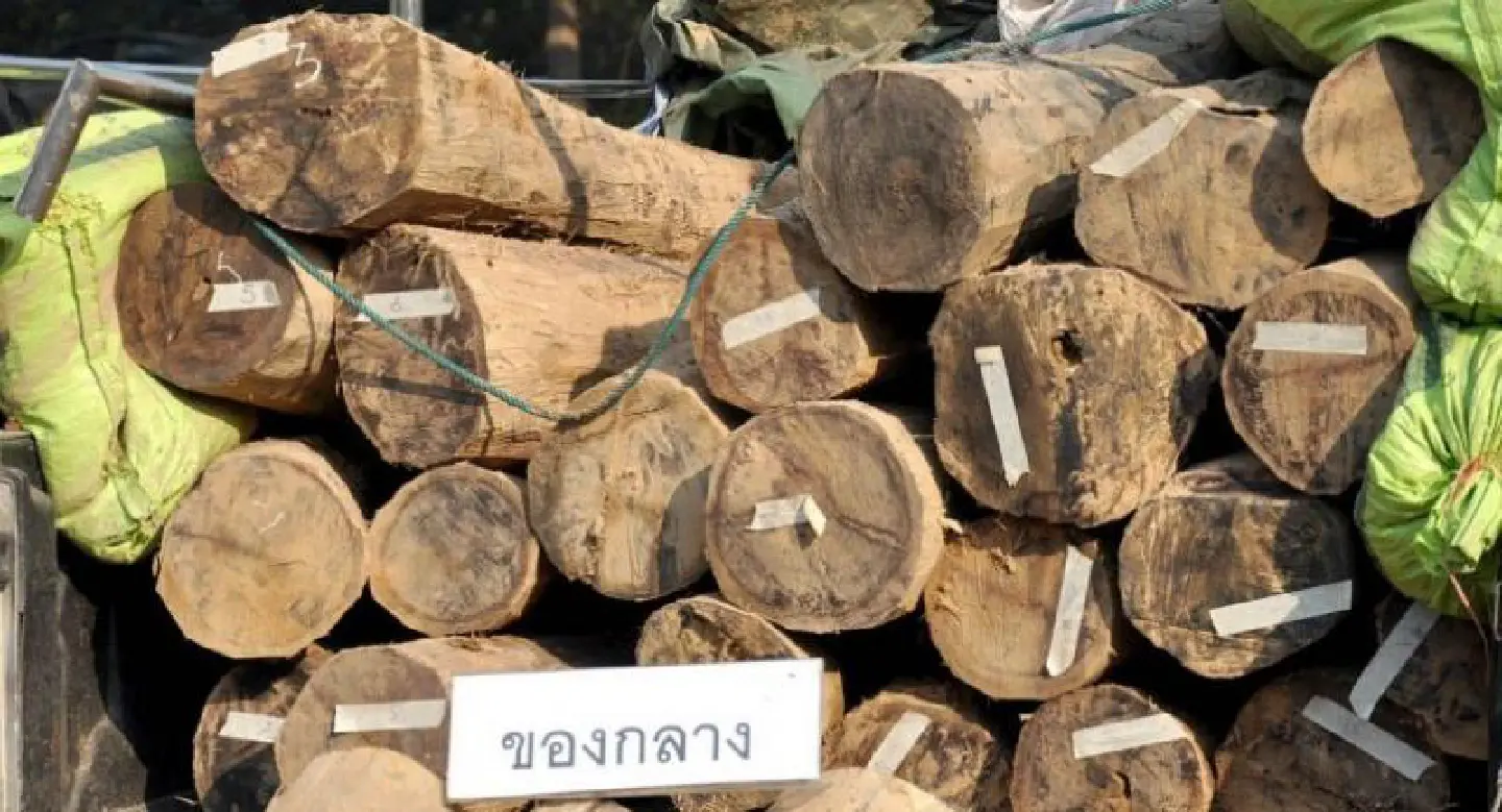 Stung by evidence of internal graft, Forest Department launches purge Stung by evidence of internal graft, Forest Department launches purge