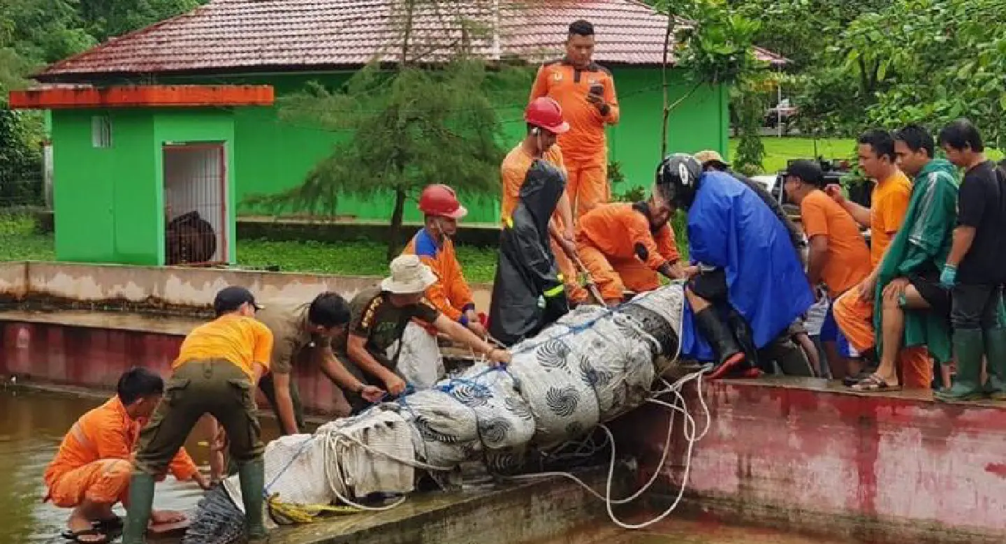 She had a 14-foot pet crocodile named ‘Merry’. It ate her