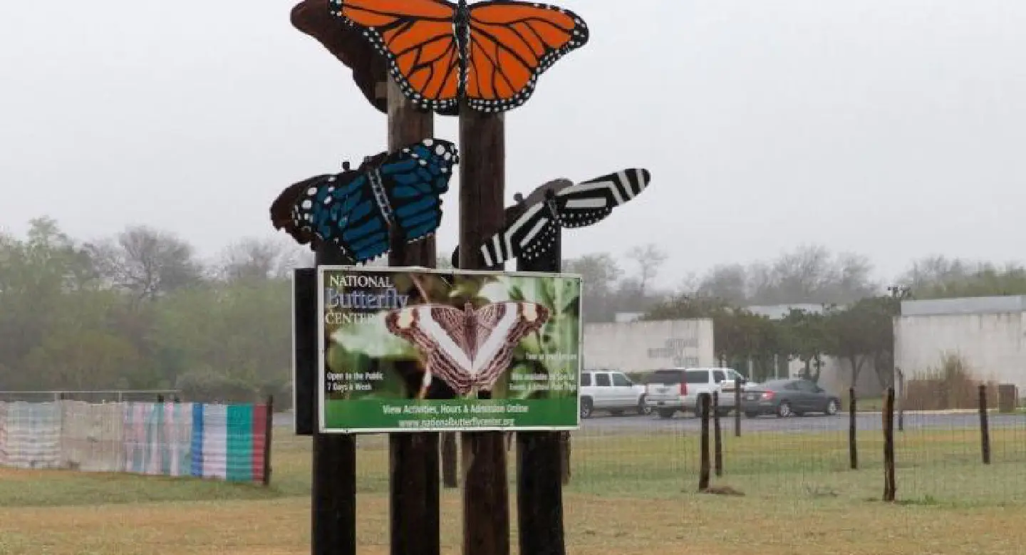 Butterflies, the unlikely victims of Trump's border wall