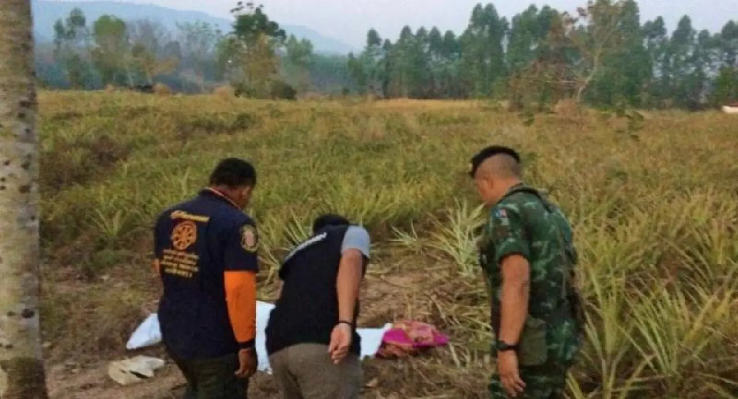 Pineapple plantation owner killed by wild elephants in Chachoengsao Pineapple plantation owner killed by wild elephants in Chachoengsao