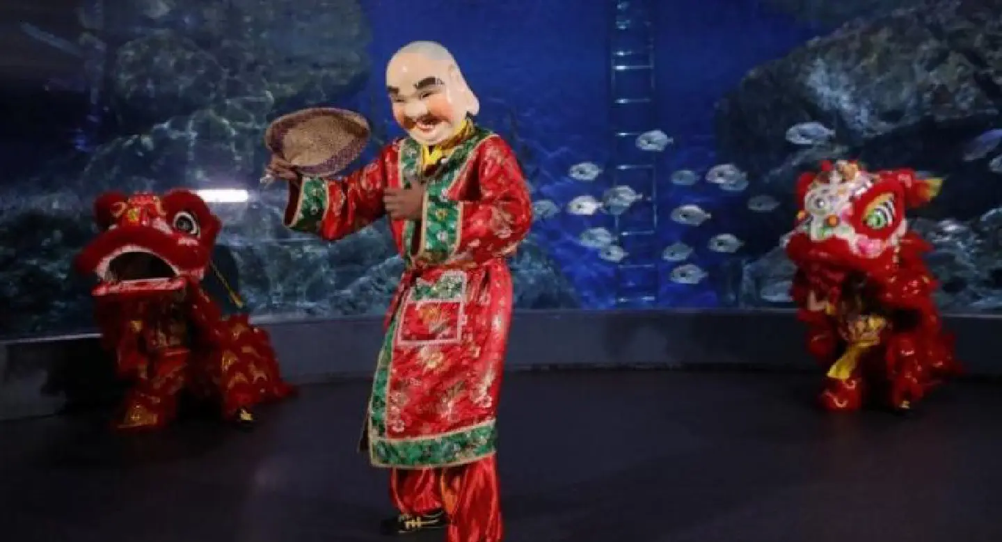 Real live mermaid at Sea Life Bangkok Real live mermaid at Sea Life Bangkok