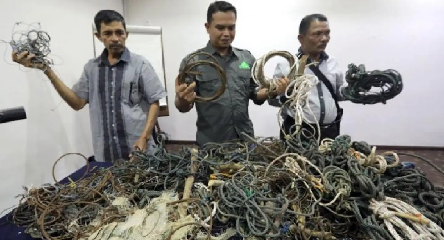 Wildlife activists clear animal traps from Lauser National Park in Aceh