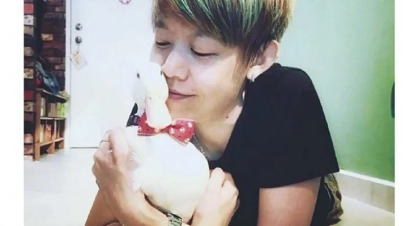 A duck makes a fun pet for Malaysian city dweller A duck makes a fun pet for Malaysian city dweller
