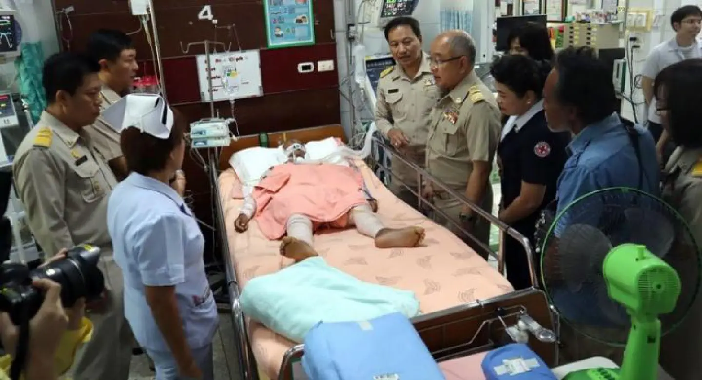 Boy savaged by dogs recovering in ICU
