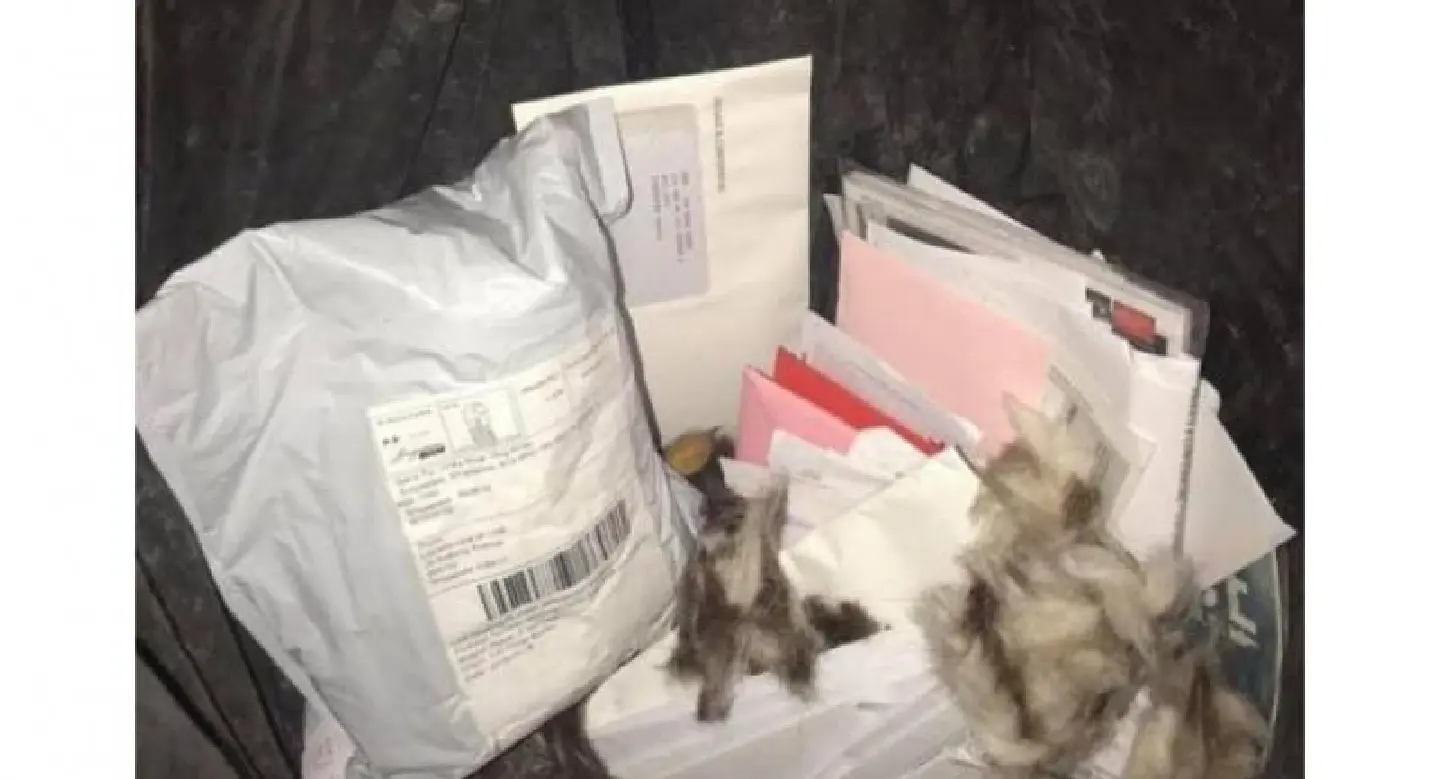 SingPost postman arrested over discarded mail in rubbish bin; IMDA expresses 'grave concerns' over i