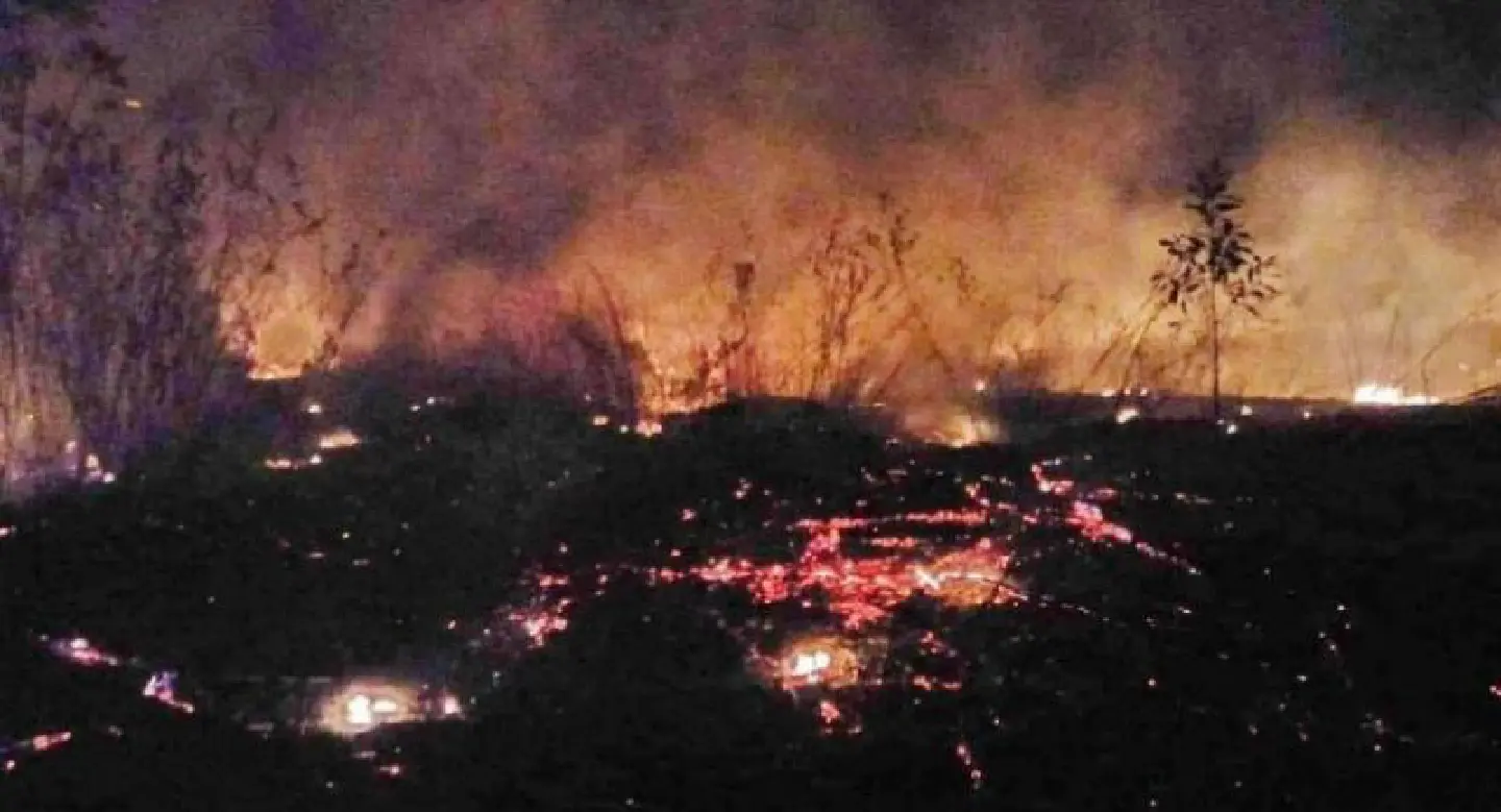 Alarm bells ring over rubber plantation fire Alarm bells ring over rubber plantation fire