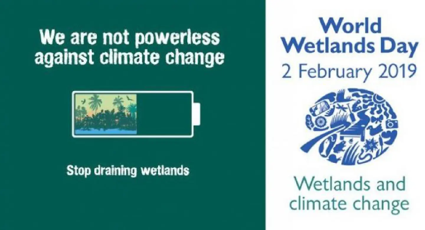 Loss of wetlands could be devastating: experts Loss of wetlands could be devastating: experts