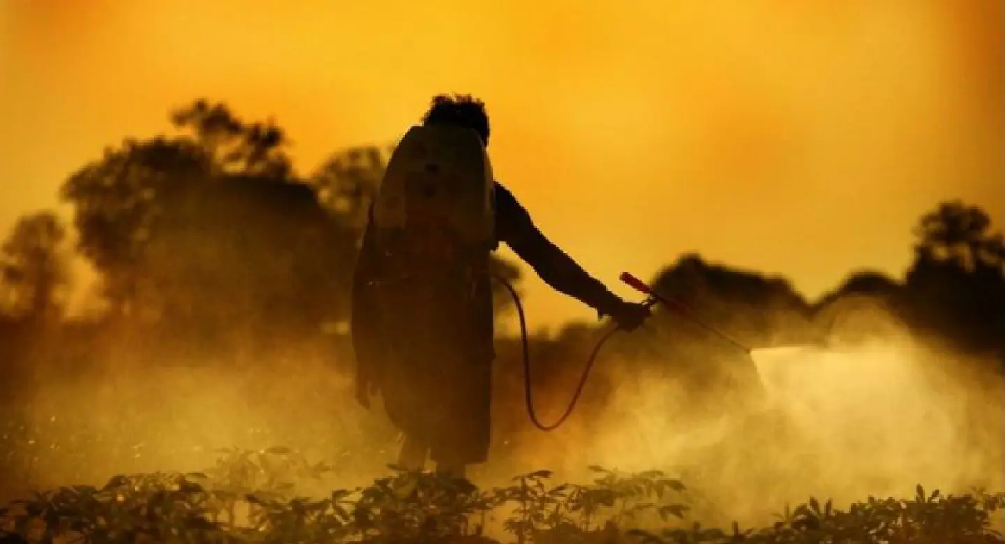 Decision to slowly phase out paraquat met with stiff opposition Decision to slowly phase out paraquat met with stiff opposition