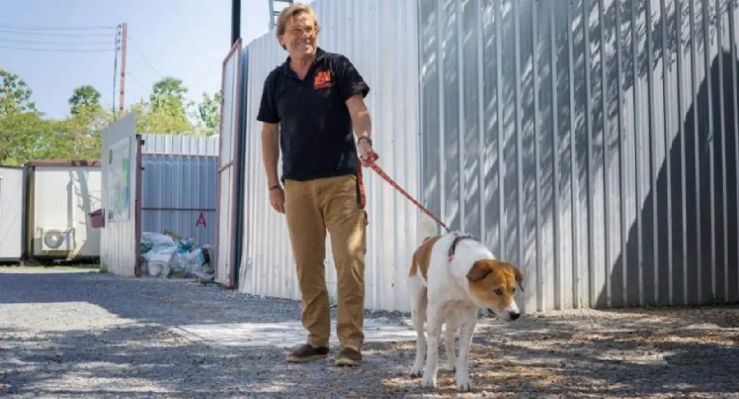 Loving, abandoned Toto now in Soi Dog’s hands and ready for adoption Loving, abandoned Toto now in Soi Dog’s hands and ready for adoption