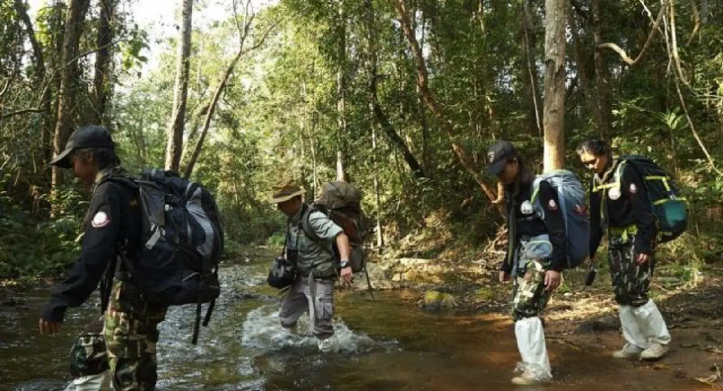 SPECIAL REPORT: 'Smart Patrol' key to saving forests SPECIAL REPORT: 'Smart Patrol' key to saving forests