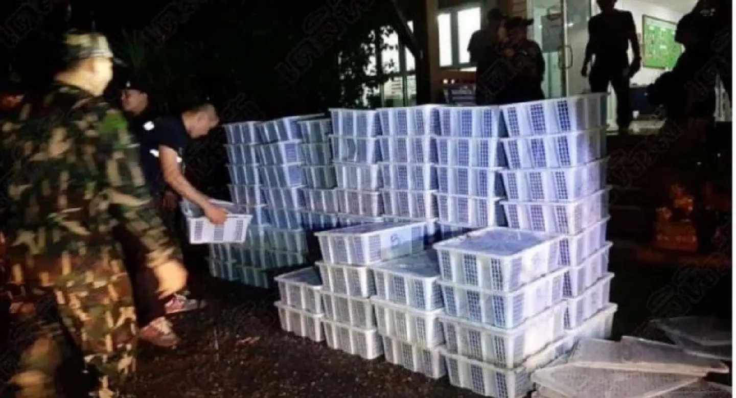 More than 2,000 snakes seized in border sting