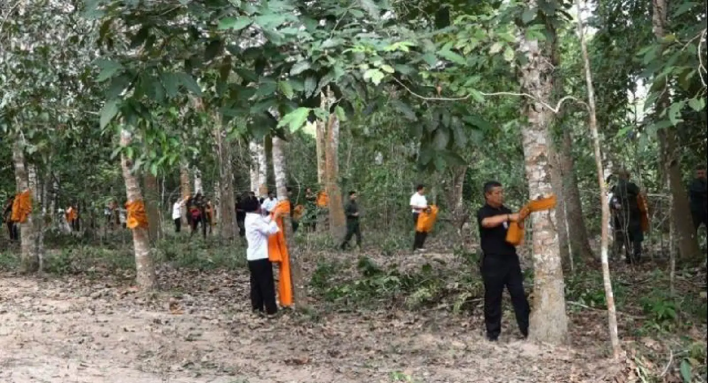 Forest Act to be amended to encourage felling and growing of rare trees