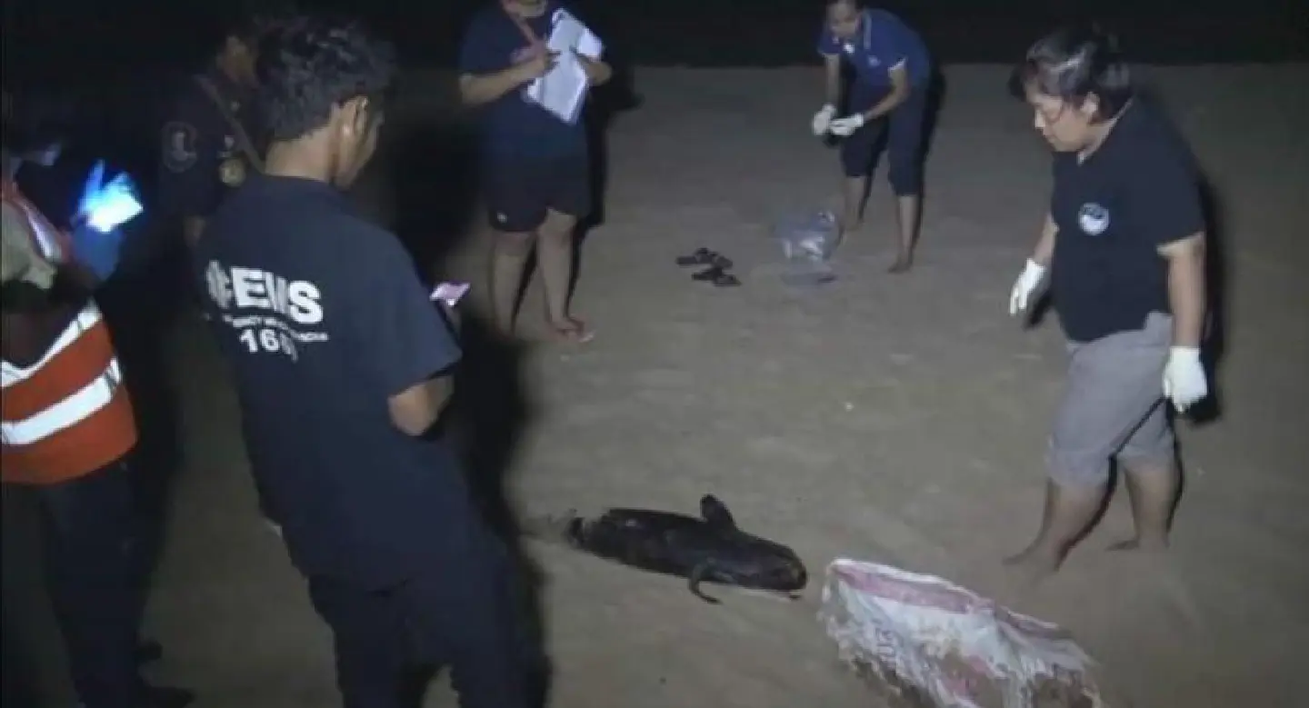 Carcass of finless porpoise found on Prachuap Khiri Khan beach