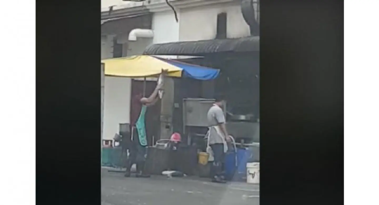 Worker caught in fish smashing act in back alley of Kota Kemuning restaurant Worker caught in fish smashing act in back alley of Kota Kemuning restaurant