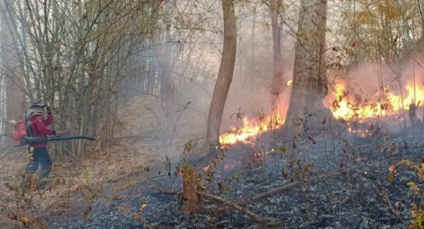 Ministerial officials in 9 northern provinces ordered to join forest fire-tackling efforts