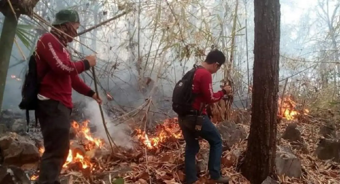 Chiang Mai choking on Day 1 of burning ban Chiang Mai choking on Day 1 of burning ban