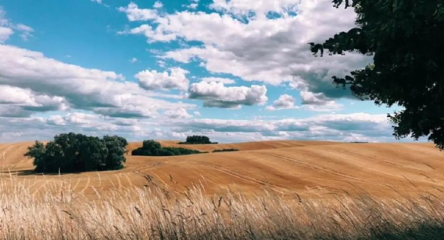 Apple announces ten best photos shot on iPhone around the world