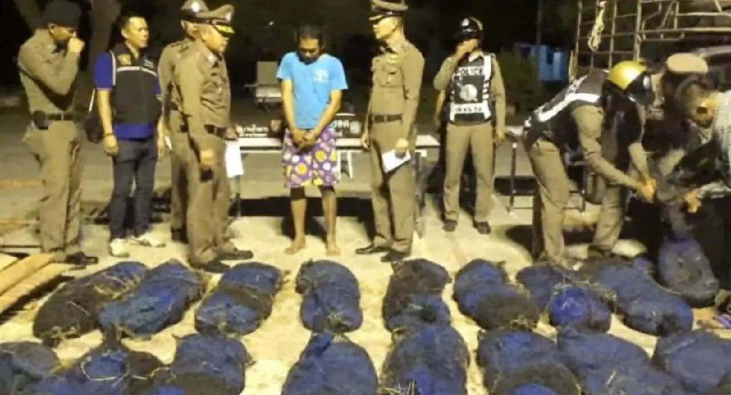 Truckload of pangolins intercepted in Prachuap