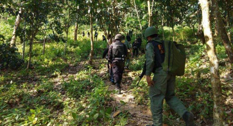 Photo courtesy of Rungrot Kongpiban