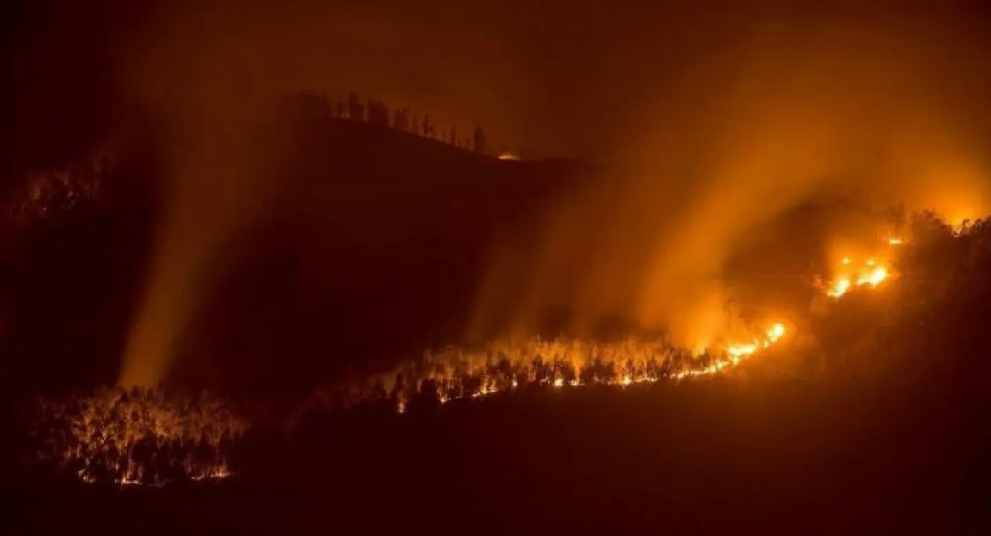 Forest fires sweep northern Spain Forest fires sweep northern Spain