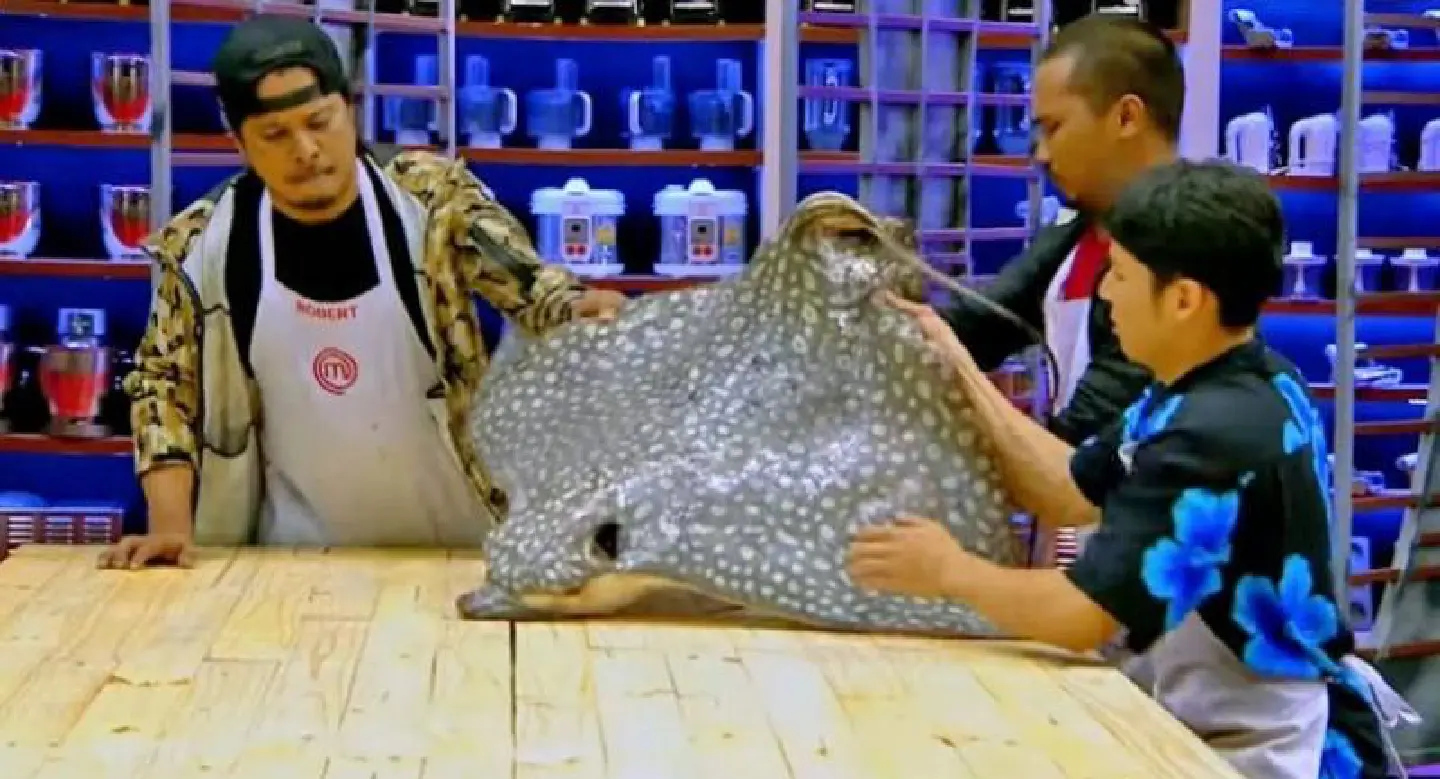 Agency to propose protected status for eagle rays following outcry over TV cooking show