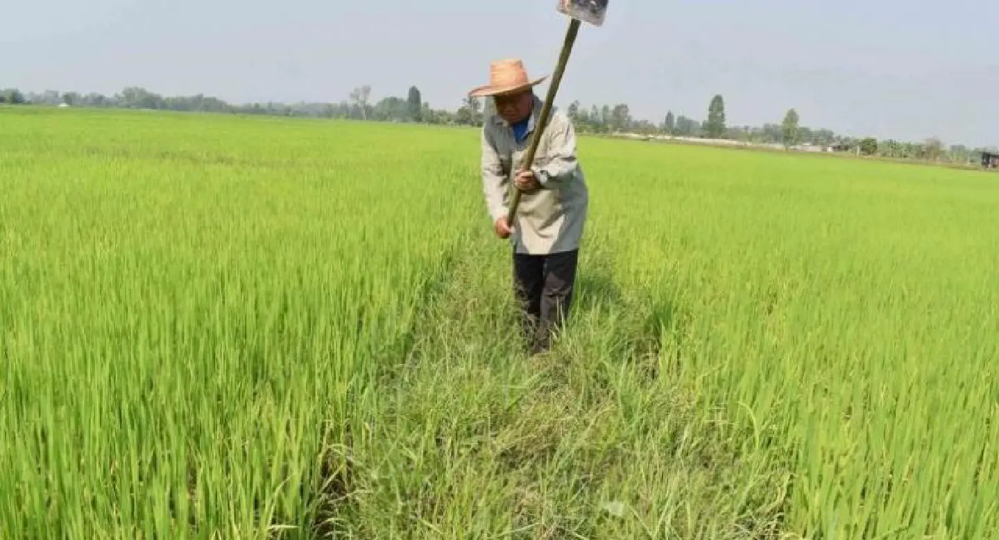 Major parties outline vision on farm issues