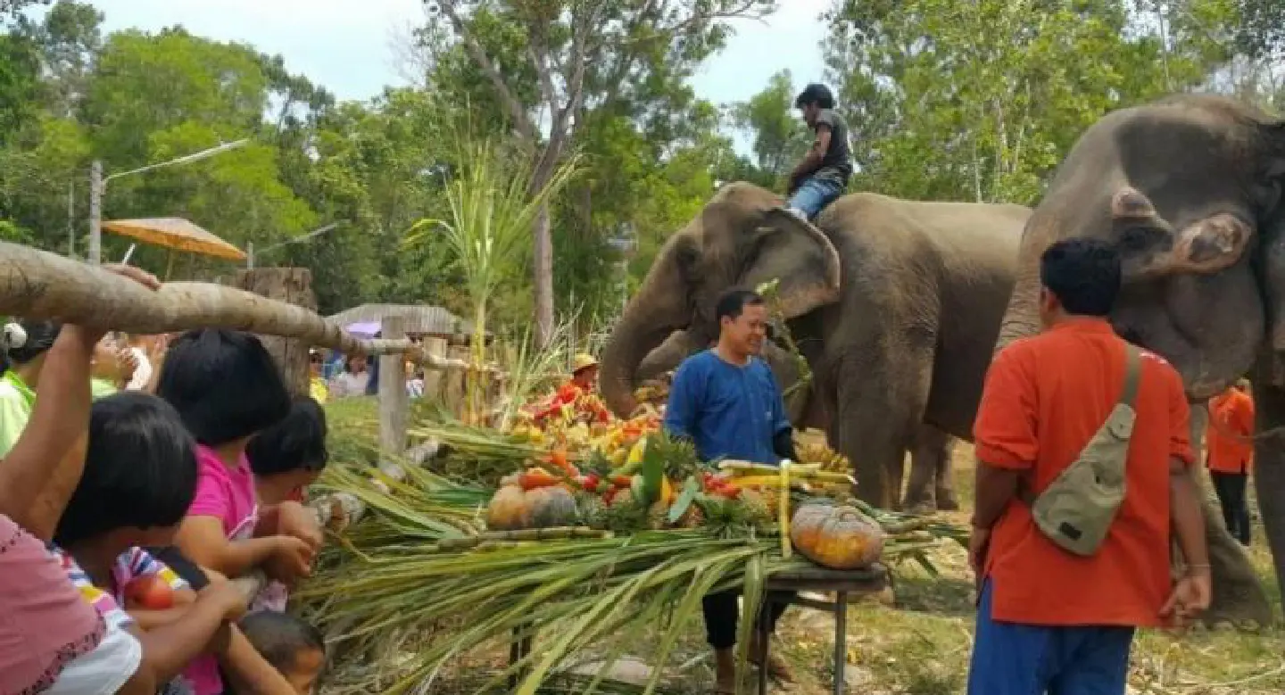 Krabi celebrates National Elephant Day Krabi celebrates National Elephant Day