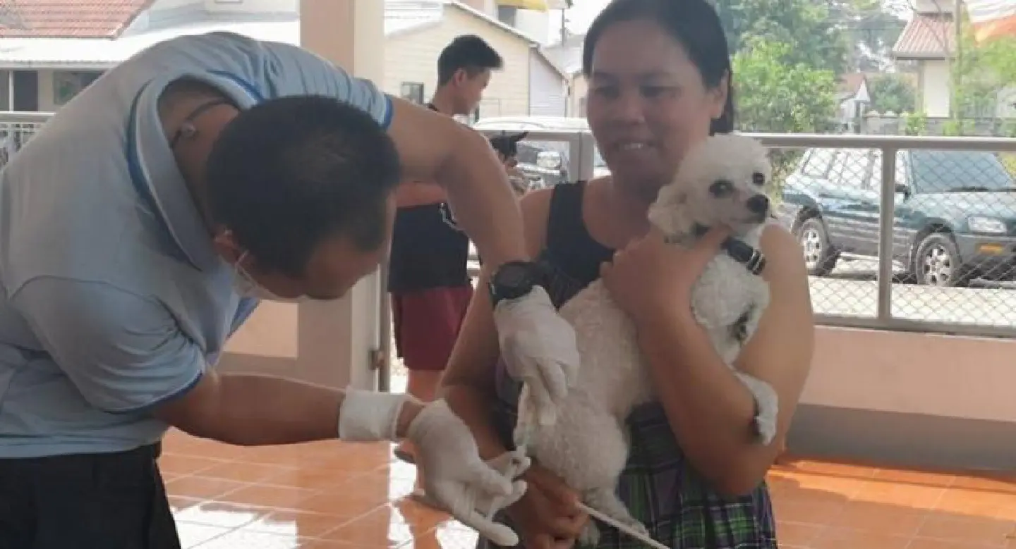 Khon Kaen district has a rabies scare Khon Kaen district has a rabies scare