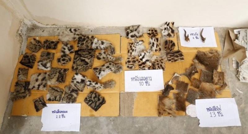 Joint operation nabs suspected online seller of  protected-wildlife products, 47 pieces seized