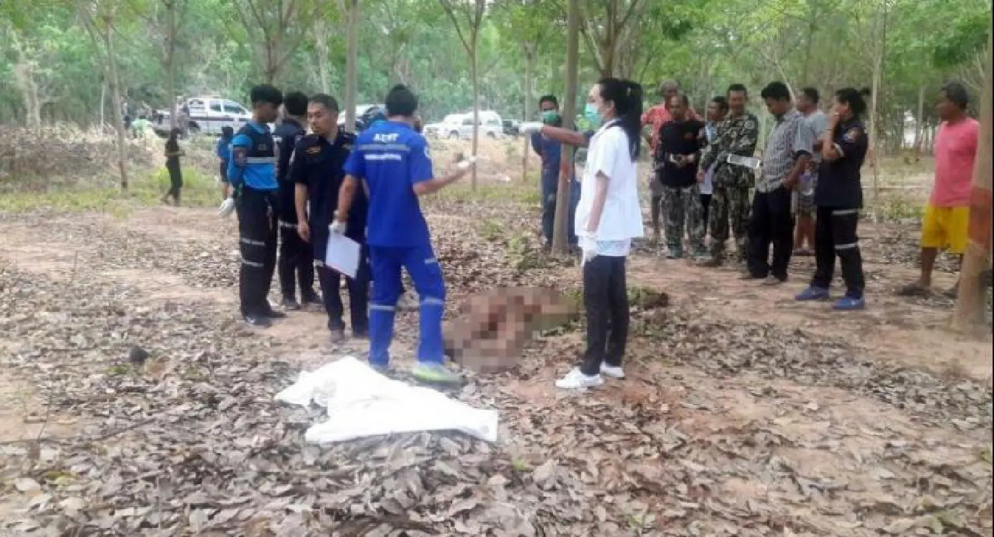 Villager crushed by rampaging wild elephant Villager crushed by rampaging wild elephant
