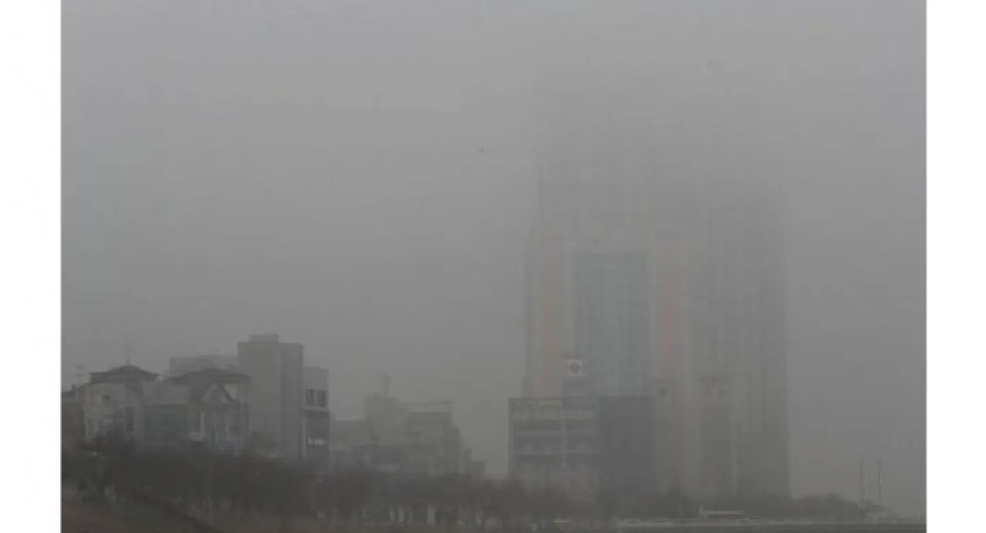South Korean government to halt public construction work if fine dust levels spike South Korean government to halt public construction work if fine dust levels spike