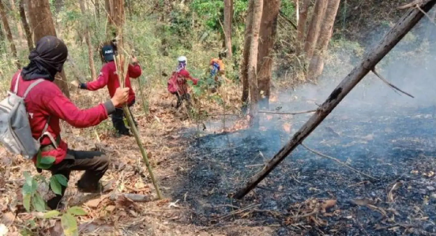 Northern governor threatens to withhold land-rights documents from farmers lighting fires Northern governor threatens to withhold land-rights documents from farmers lighting fires