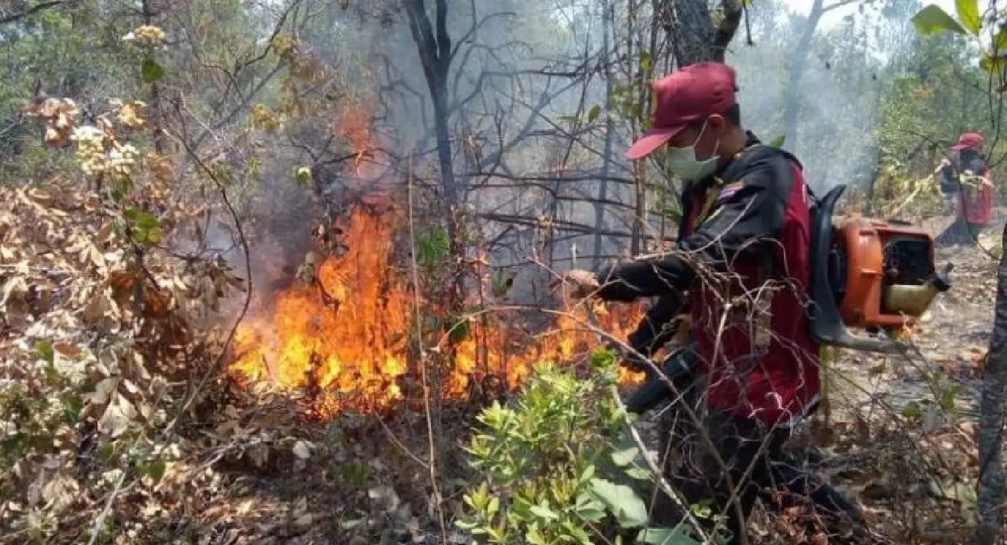 Wildfires destroy more than 2.6 million rai of land Wildfires destroy more than 2.6 million rai of land