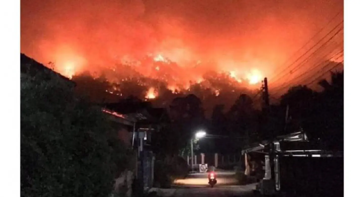 New rash of forest fires in the North likely to be arson, Army says New rash of forest fires in the North likely to be arson, Army says