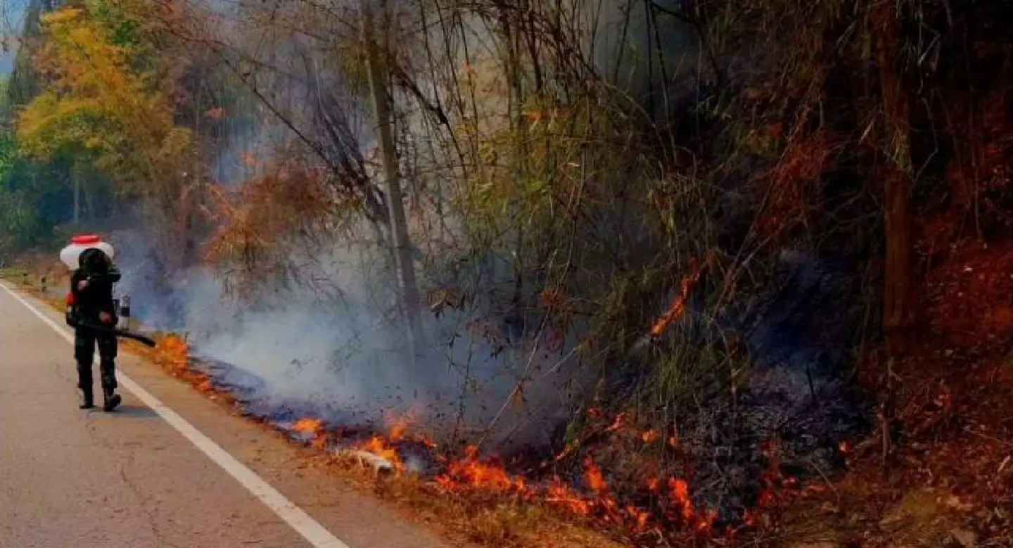 Community forest fires in Phayao now under control