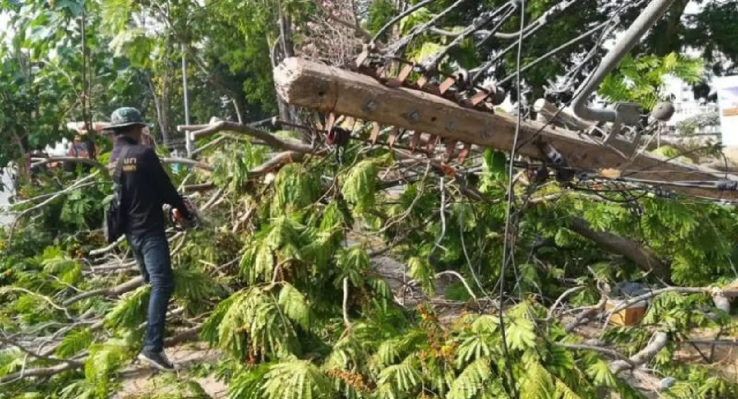 Storms whip Phitsanulok, leaving damaged houses and downed power poles Storms whip Phitsanulok, leaving damaged houses and downed power poles