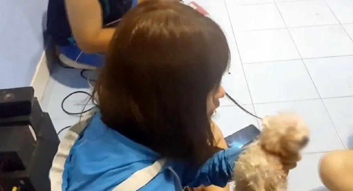 Burglar drowns Pomeranian before stealing computer, cash in Udon Thani Burglar drowns Pomeranian before stealing computer, cash in Udon Thani