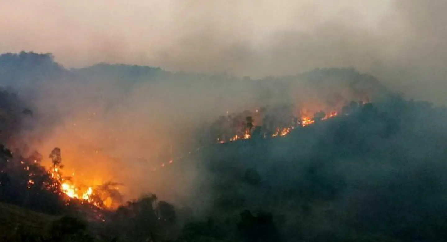 Over 1,000 rai burned to ash in Chiang Rai Over 1,000 rai burned to ash in Chiang Rai