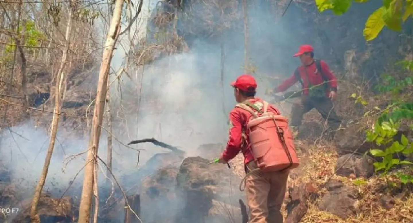 Forest fires continue to plague Mae Hong Son Forest fires continue to plague Mae Hong Son
