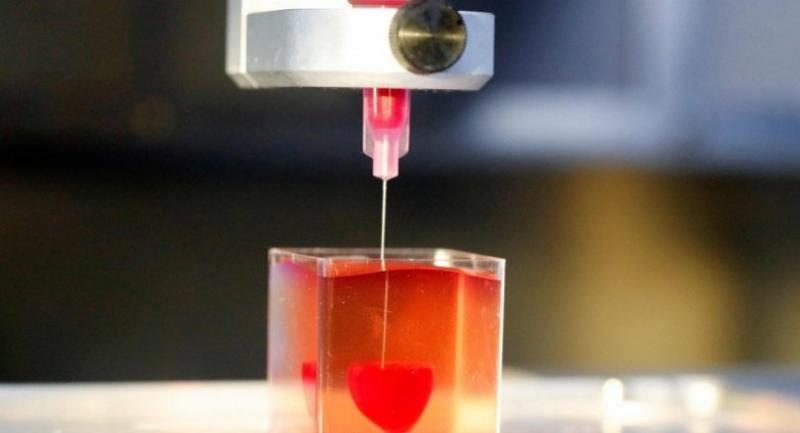 This photo taken last week at the University of Tel Aviv shows a 3D print of heart with human tissue./AFP Photo
